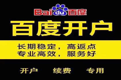 案例分析：SEM竞价代运营策略优化
